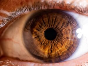 Have-scientists-discovered-a-new-colour-called-oloScientific-Research-and.jpg